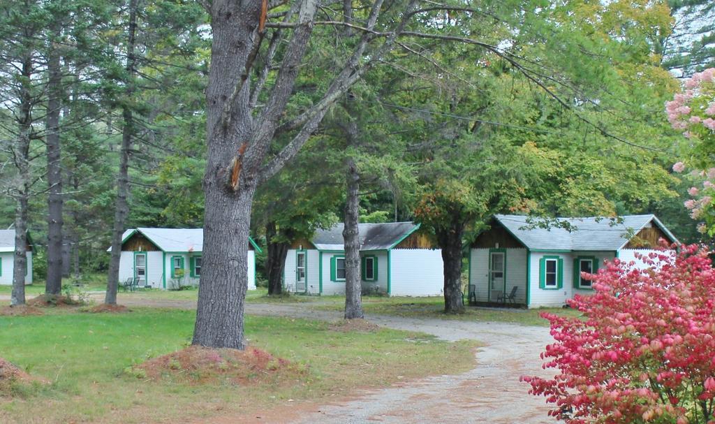 Pine Valley Cabins Thornton 部屋 写真