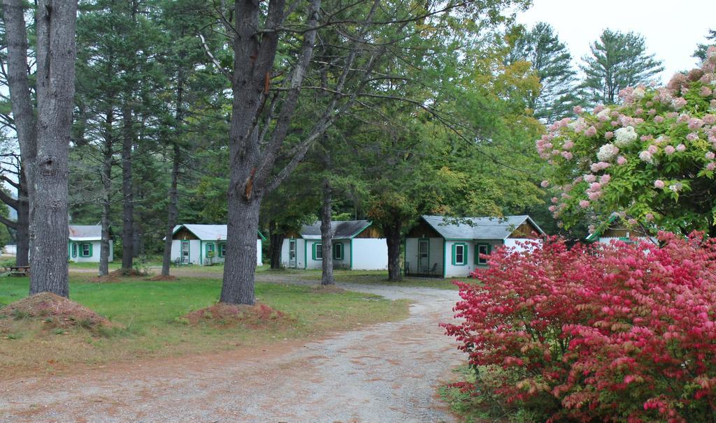 Pine Valley Cabins Thornton エクステリア 写真