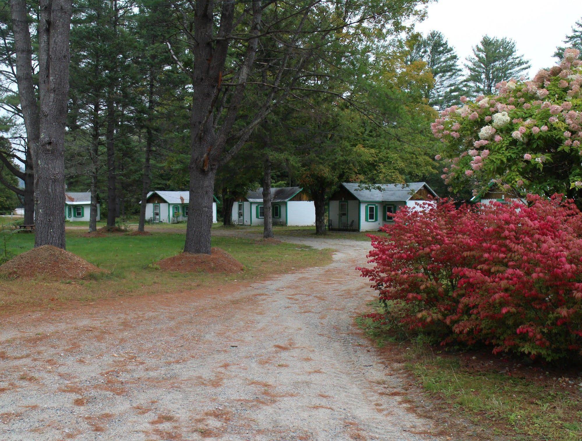 Pine Valley Cabins Thornton エクステリア 写真