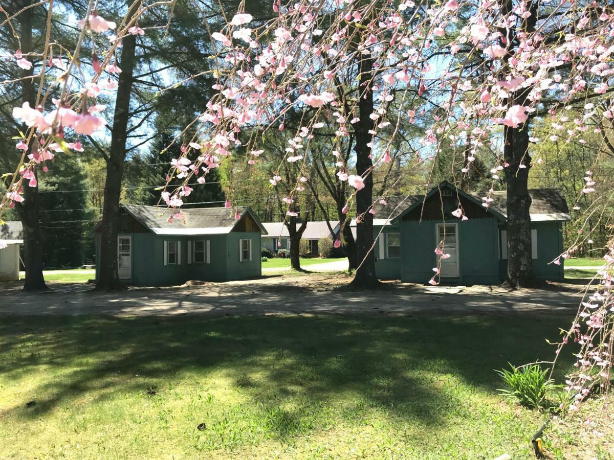Pine Valley Cabins Thornton エクステリア 写真